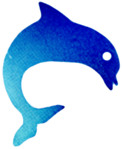 0081