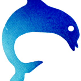 0081